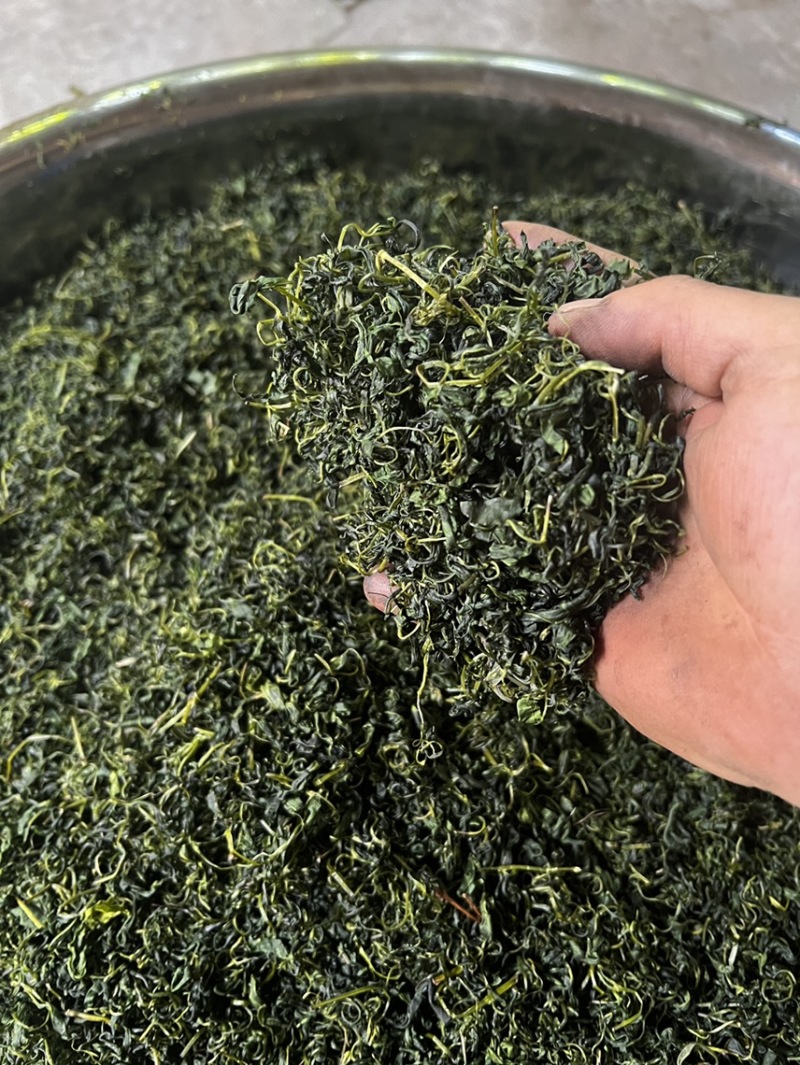青山绿水小叶苦丁茶厂家直供价格实惠