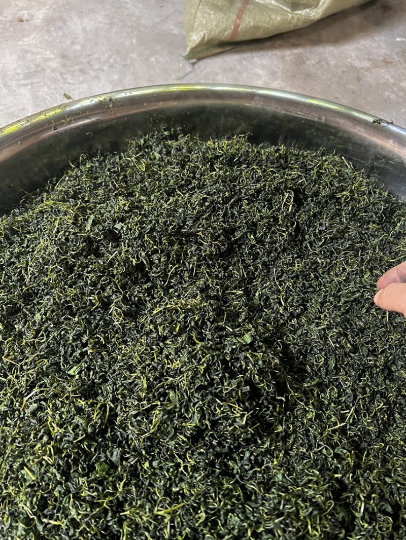 青山绿水小叶苦丁茶厂家直供价格实惠
