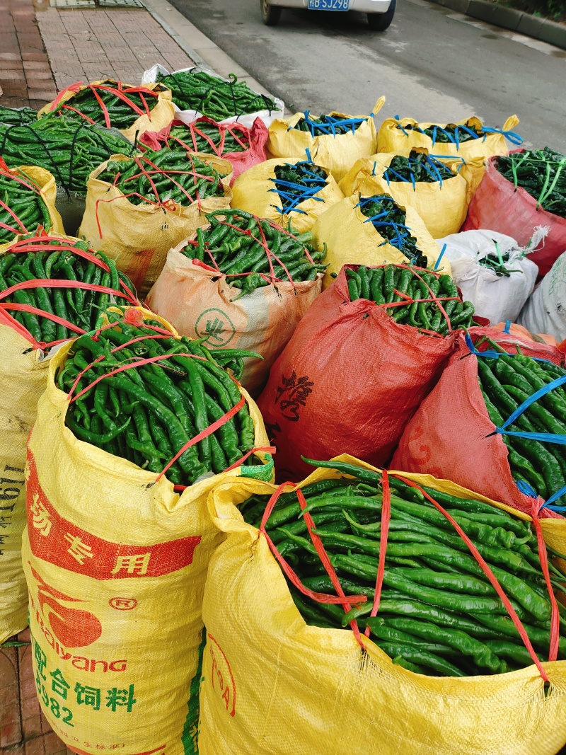 广西柳州精品螺线椒产地一手代发