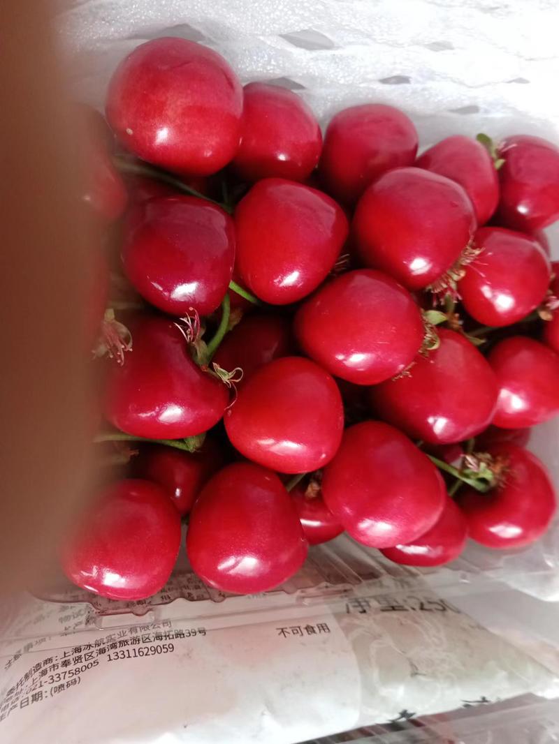 陕西大荔县大樱桃上市，美早，红灯，布鲁克斯，爱马仕等大量有货