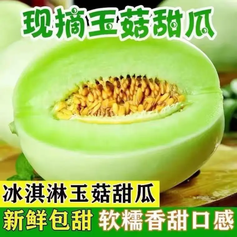 海南玉姑甜瓜脆甜可口价格美丽供应全国档口商超社团电商