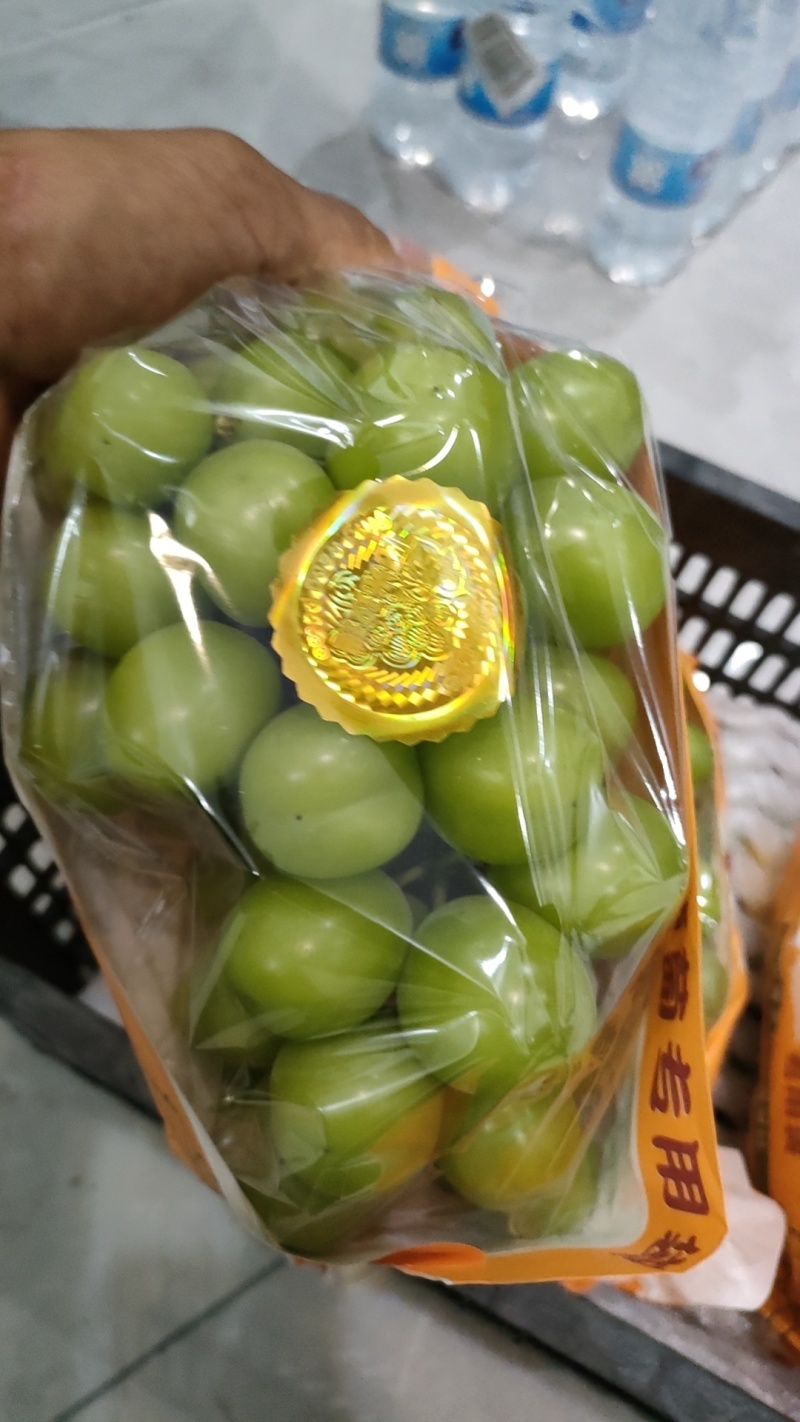精品阳光玫瑰葡萄可对接全国各地市场渠道电商