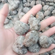 白肉三叶青干货大量批发