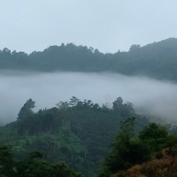 山地出租