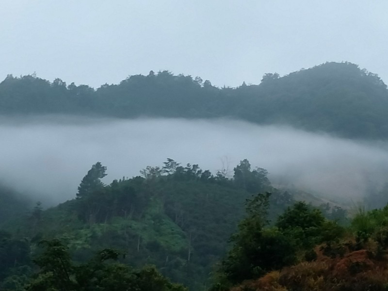 山地出租