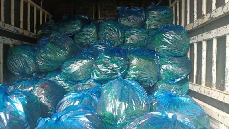 家庭冰箱中韭菜花储存对比图