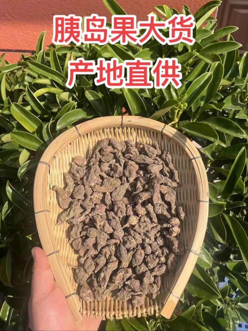 胰岛果紫漳荔