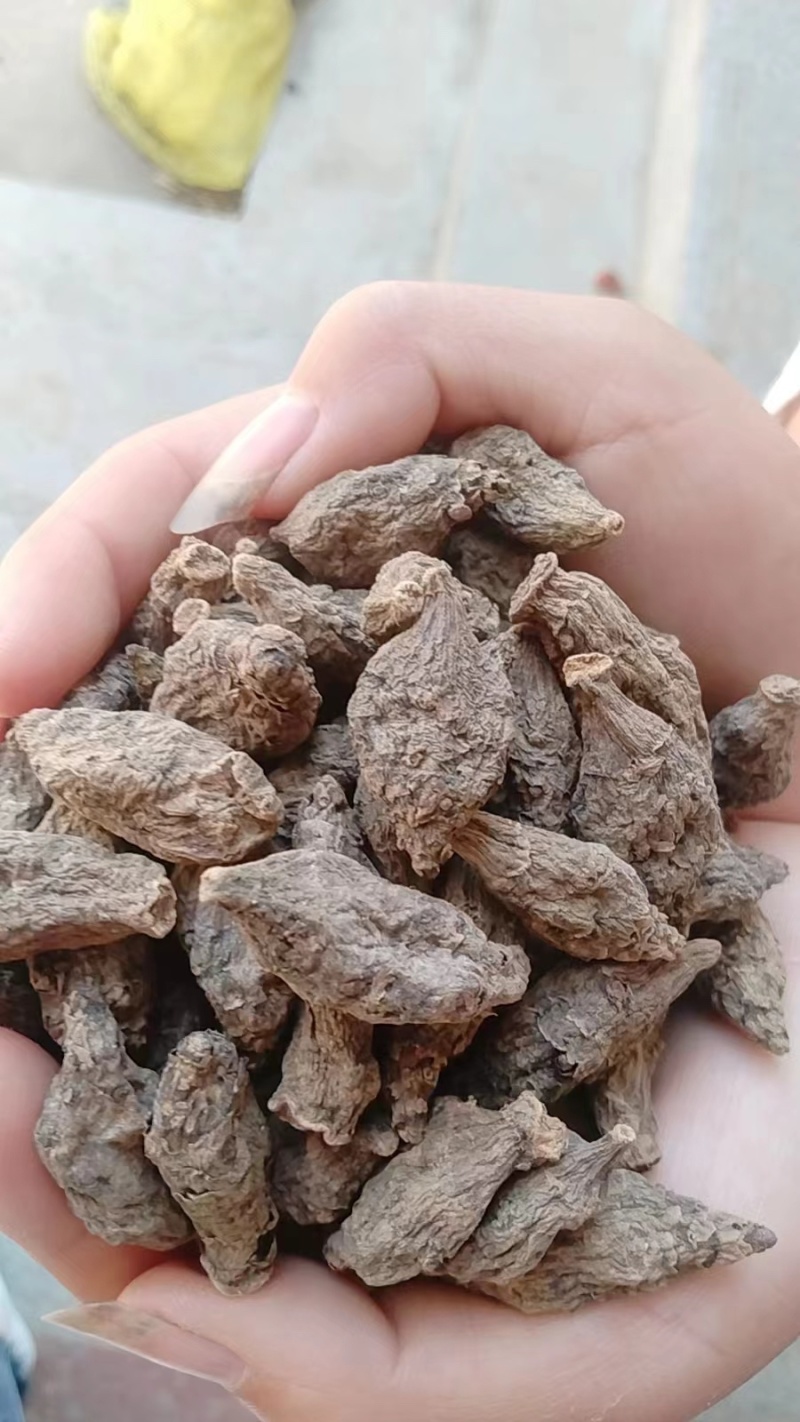 胰岛果紫漳荔