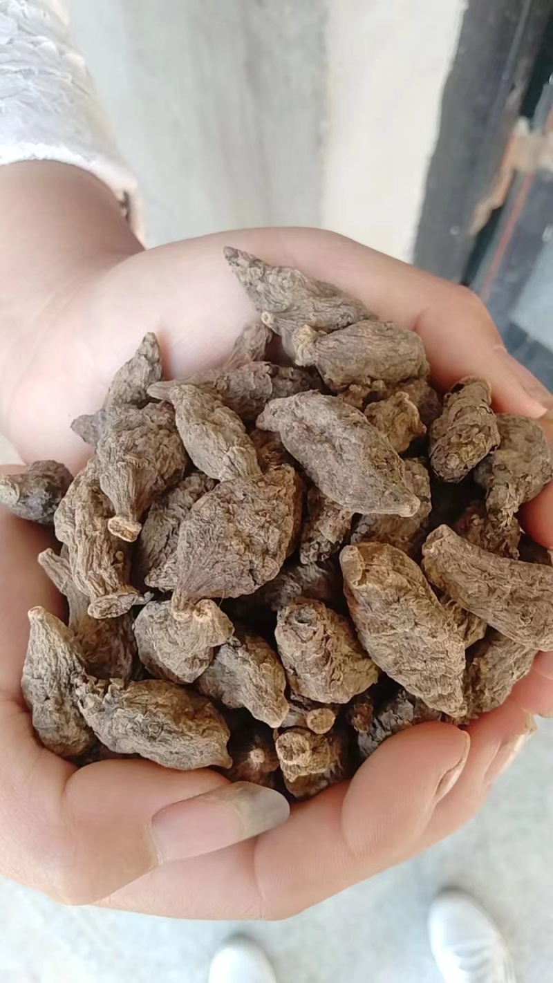 胰岛果紫漳荔