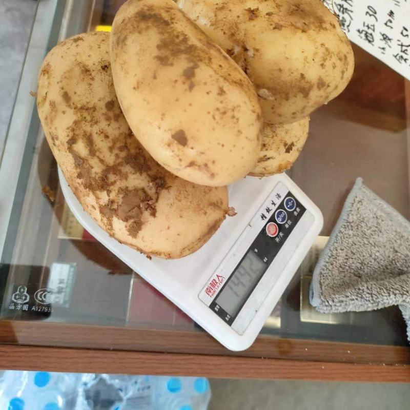 沃土5号土豆已大量上市，一手货源，价格便宜，品质保证