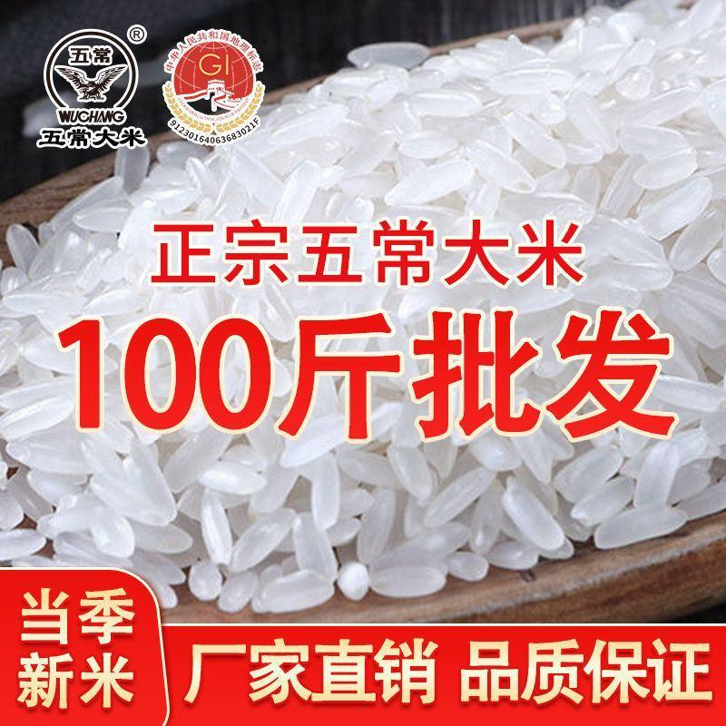 新米五常大米100斤50批发斤长粒香米特价大米东北大米