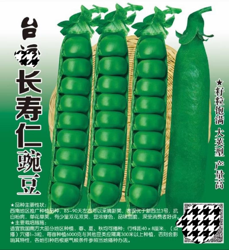 长寿仁豌豆种子