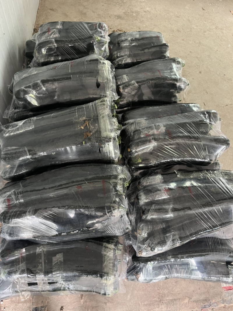 南瓜黑皮南瓜，砀山南瓜吊南瓜，长南瓜，产地大棚种植