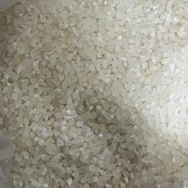 珍珠碎米