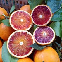 血橙塔罗科血橙二月红橙子个大皮薄味甜皮毛光滑漂亮