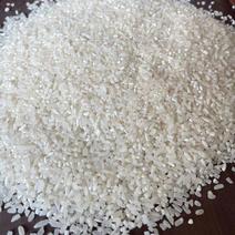 越南硬碎米