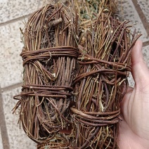 中药材鸡骨草新货鸡骨草