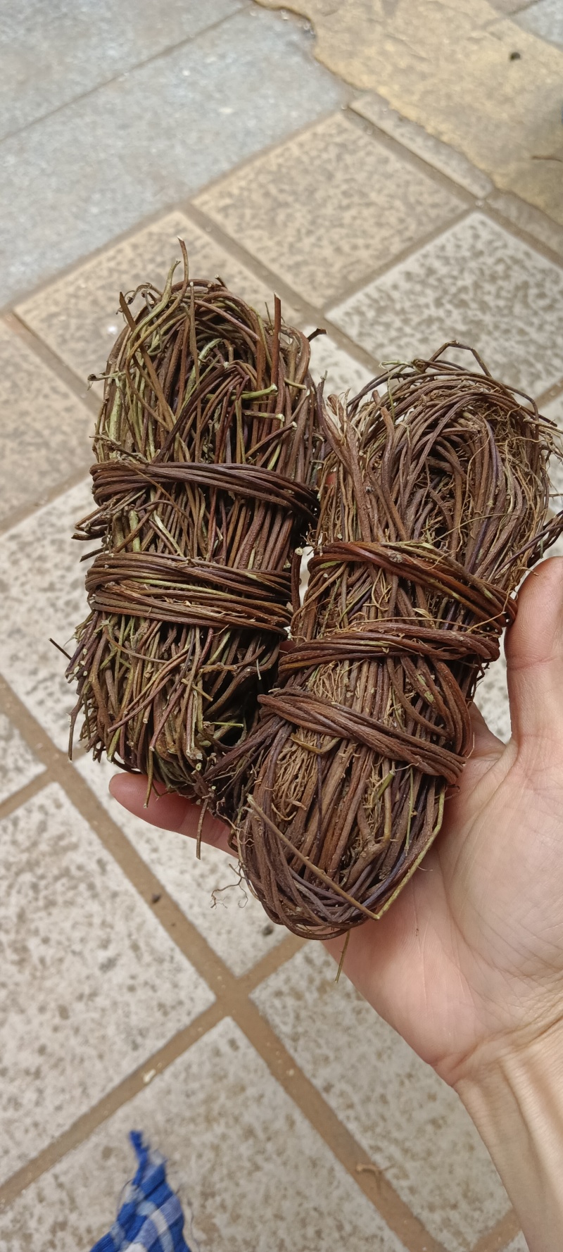 中药材鸡骨草新货鸡骨草