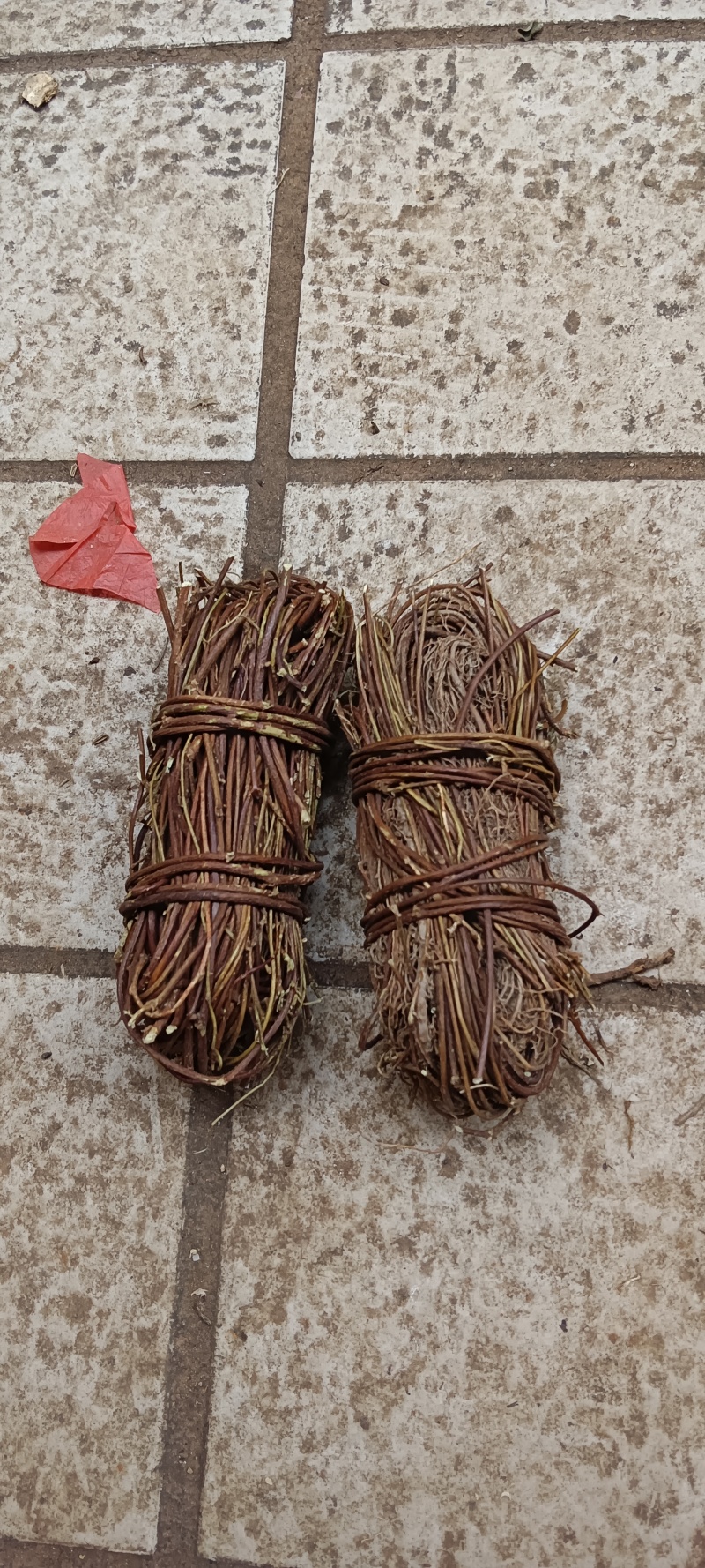 中药材鸡骨草新货鸡骨草