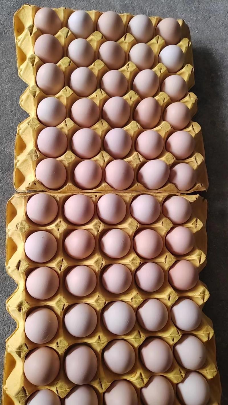优质云南粉壳黄心鸡蛋保质保量39-45码蛋场基地直