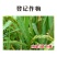 30%噻虫嗪水稻稻飞虱专用广谱杀虫剂杀虫正品农药批