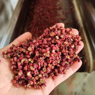 【精品】陕西渭南花椒，大红袍花椒，大量供应，批发零售都可