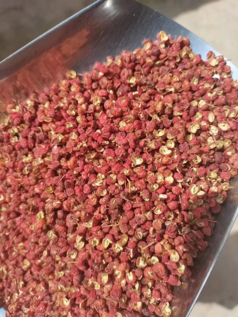 【精品】陕西渭南花椒，大红袍花椒，大量供应，批发零售都可