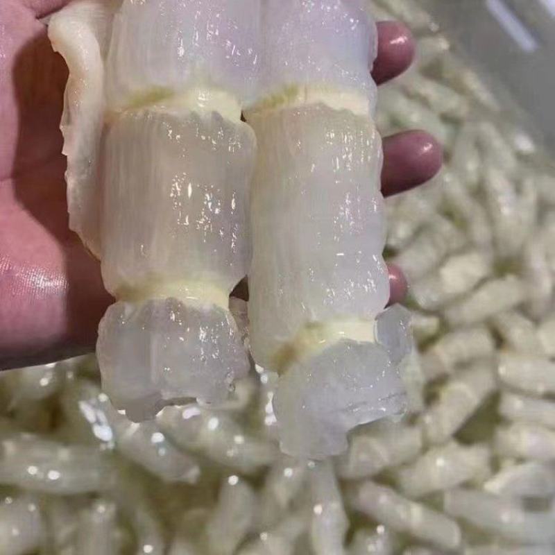 红鱼胶含有丰富的胶原蛋白、维生素，以及钙