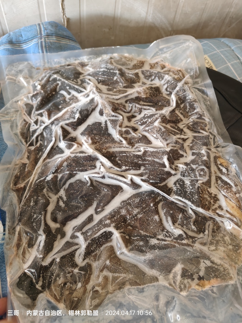 国产牛毛肚牛百叶圆刀控水12小时以上冻品底板无油