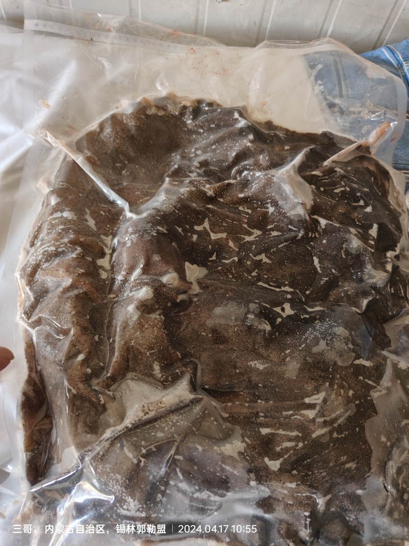 国产牛毛肚牛百叶圆刀控水12小时以上冻品底板无油