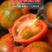 精品草莓西红柿产地直发一手货源可视频看货欢迎咨询