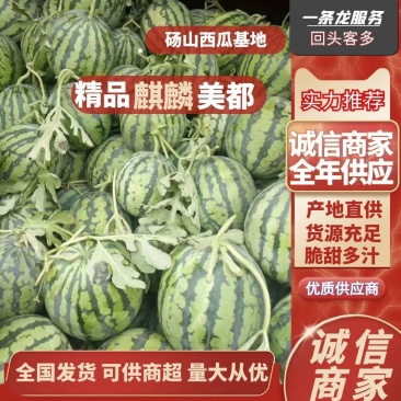 精品麒麟美都西瓜无籽小薄皮8424西瓜甜王西瓜产地