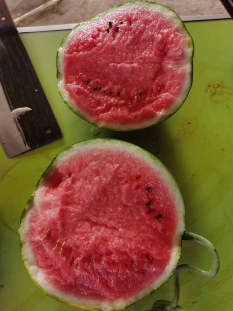 精品麒麟美都西瓜无籽小薄皮8424西瓜甜王西瓜产地