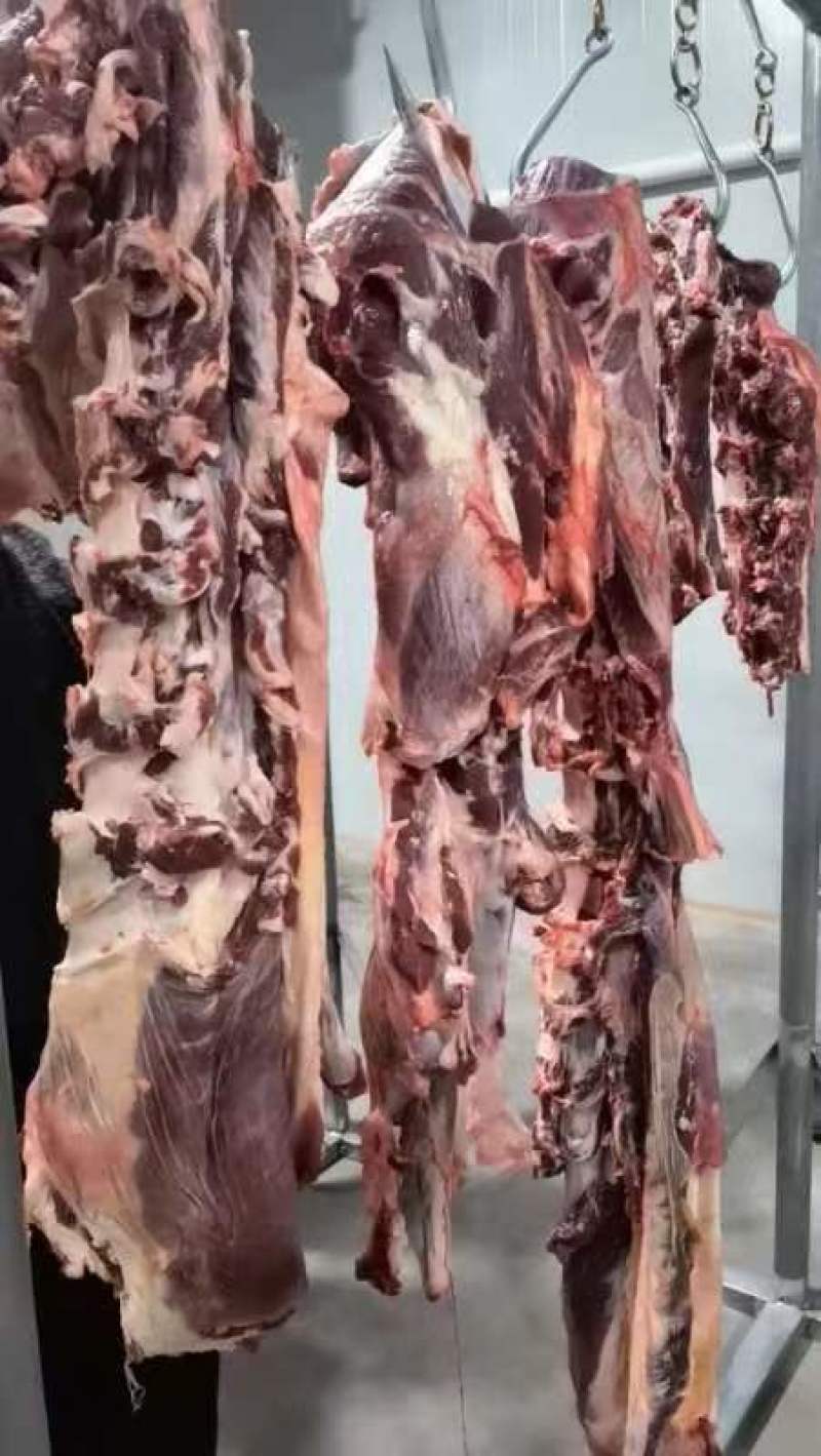 精品牛肉