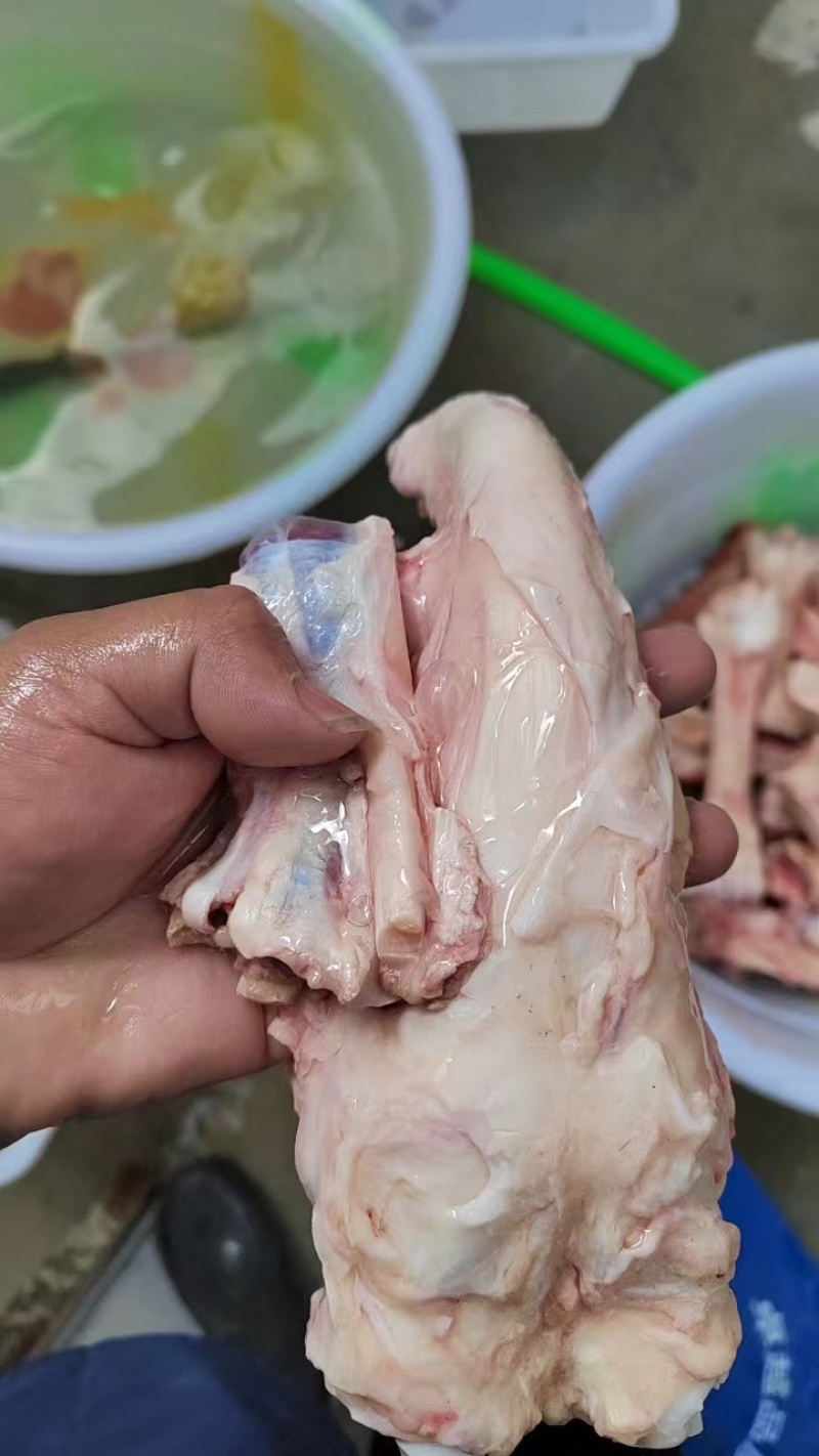 【优质牛蹄筋】牛脚筋好货直供货源充足价格优惠