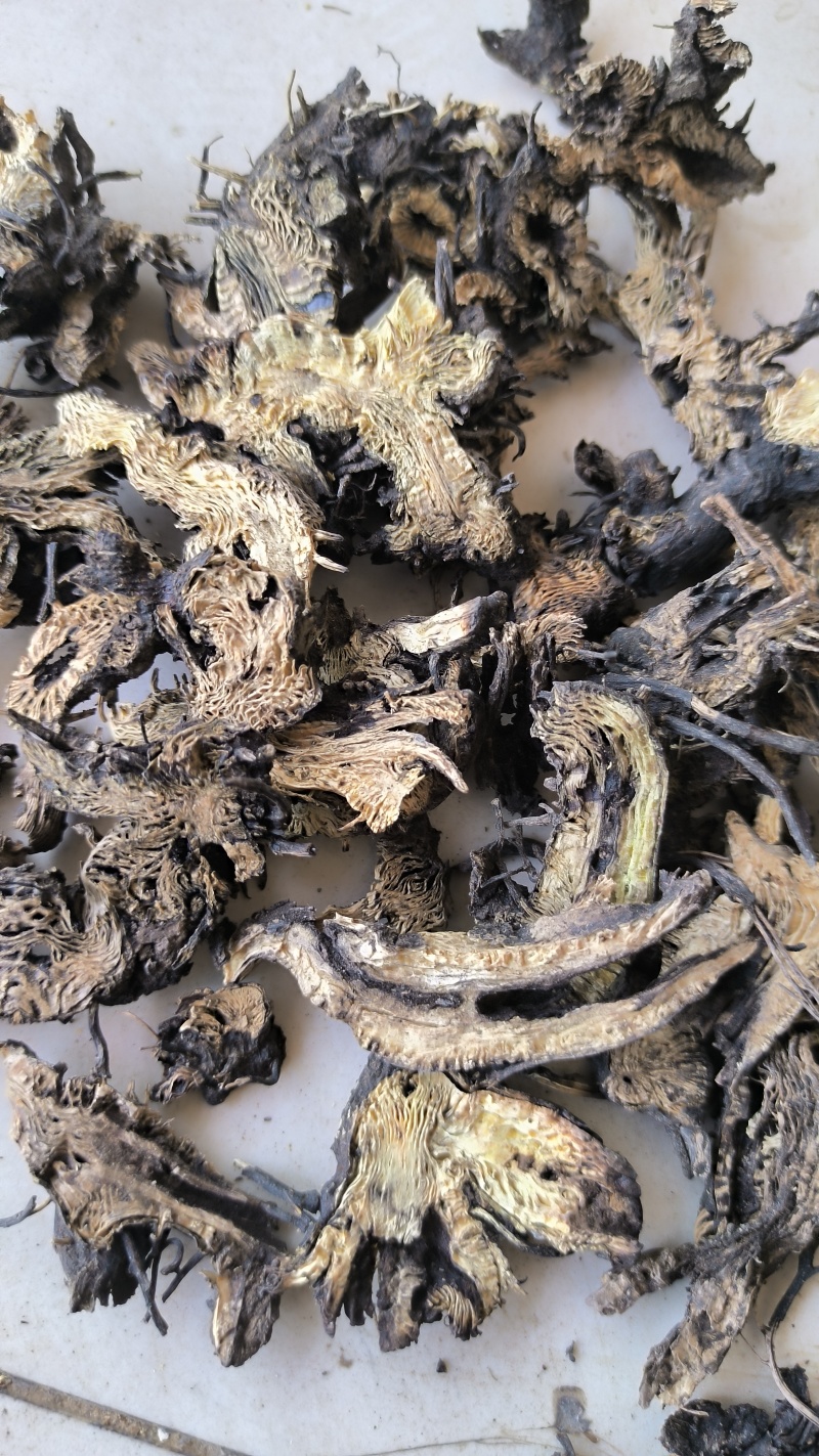 升麻中药材批发升麻质量保证量大从优