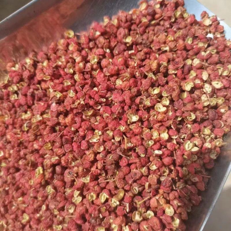 【精品】陕西大红袍花椒，高质量品质,大量供应，产地直发
