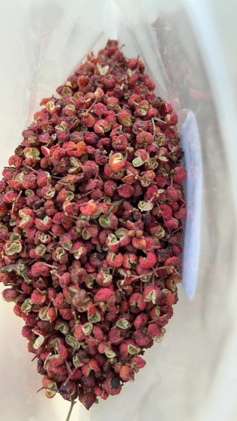 【精品】陕西大红袍花椒，高质量品质,大量供应，产地直发