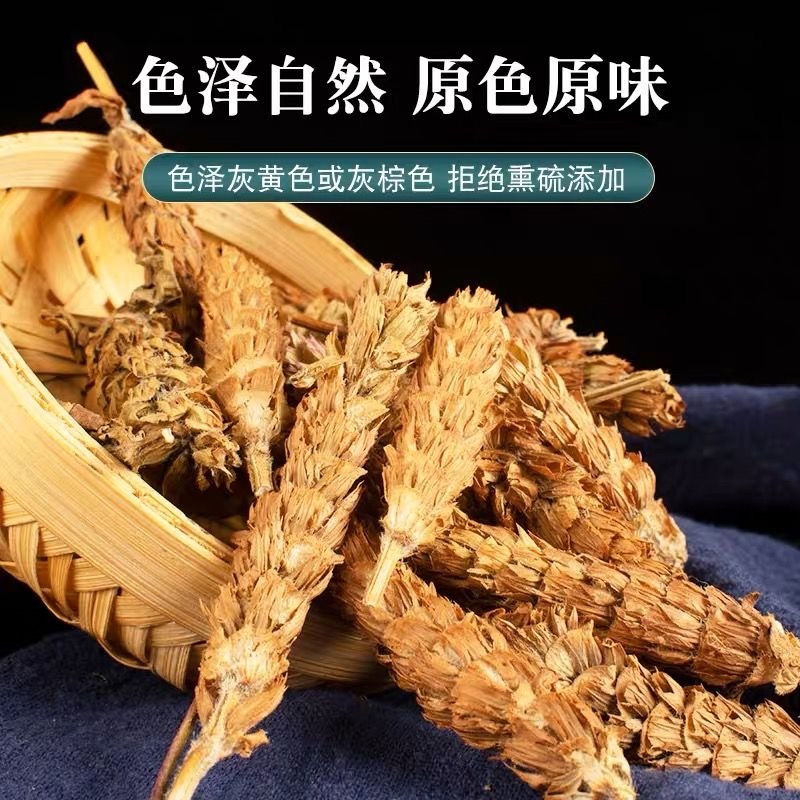 夏枯球