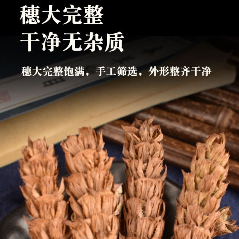 夏枯球