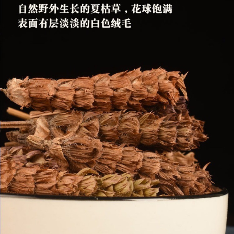 夏枯球