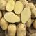 【精品黄心土豆】黄心土豆大量上市出货一手货源批发价格优惠