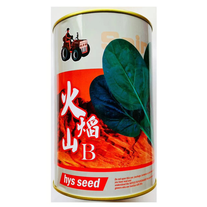 拖车头黑旋风菠菜种子，叶厚，红根品种，种子现货包邮