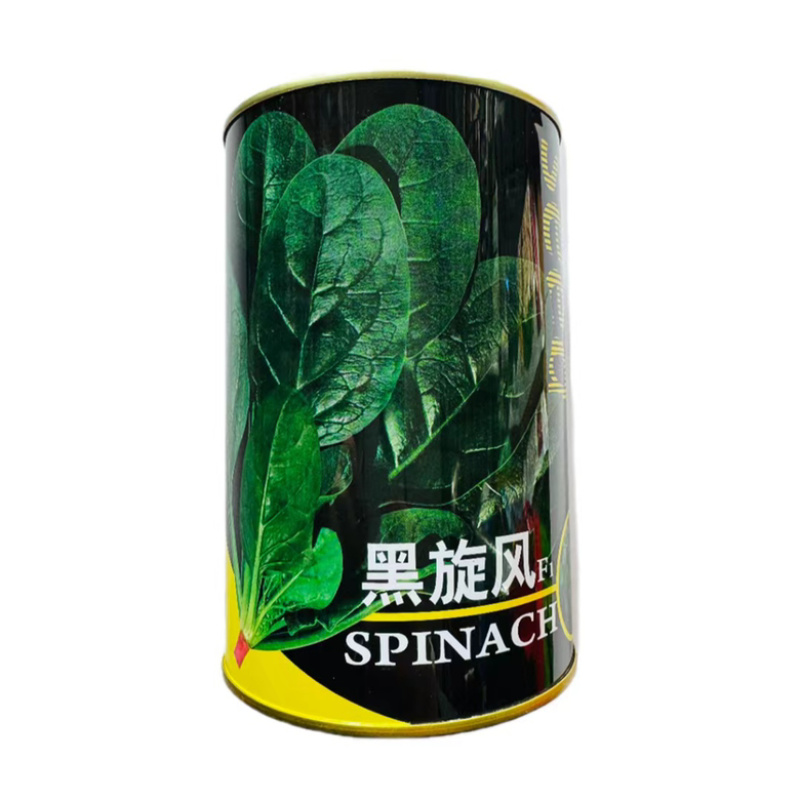 拖车头黑旋风菠菜种子，叶厚，红根品种，种子现货包邮