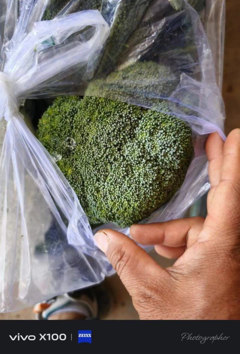 邯郸本地西兰花大量上市，适合电商社区团购批发市场
