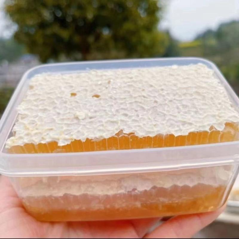 蜂巢蜜现切割成熟蜂巢蜜整块嚼着吃巢蜜切块蜂窝蜜500克