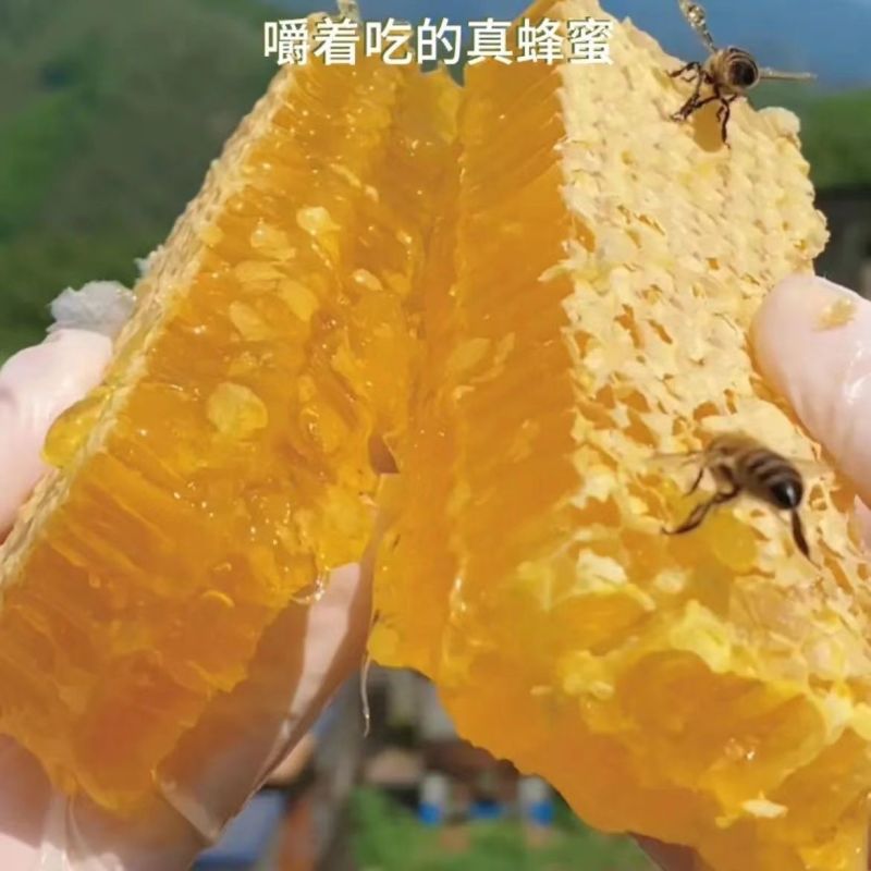 蜂巢蜜现切割成熟蜂巢蜜整块嚼着吃巢蜜切块蜂窝蜜500克