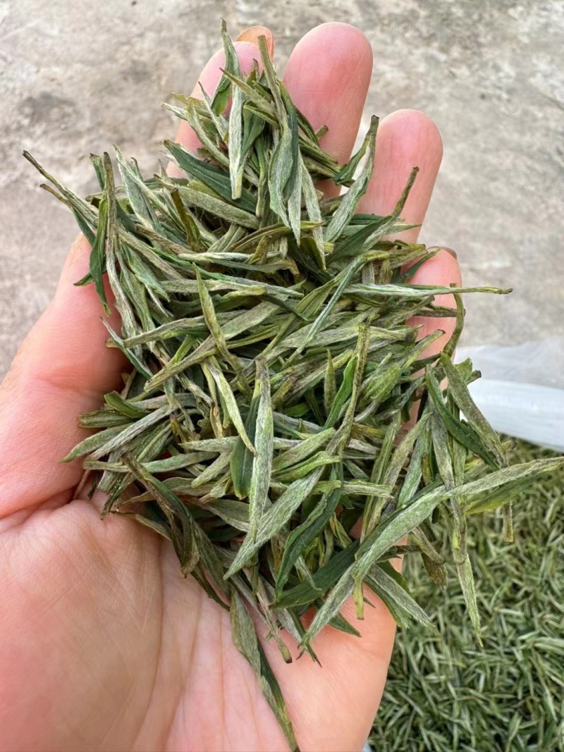 高山绿茶（翠尖，兰香）