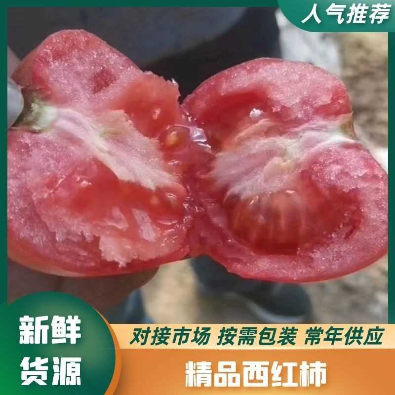 又大又沙又漂亮的富西西红柿，好吃不贵，沙瓤，