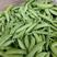 河南新野新鲜豌豆荚大量上市专业代收代发各大批发市场商超等